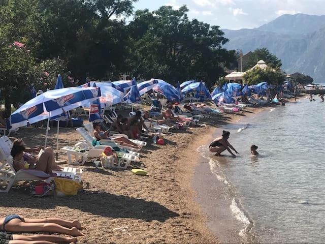 Villa Nikola Kotor Zewnętrze zdjęcie